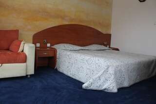 Отель Elegant Hotel Банско Улучшенный двухместный номер с 1 кроватью или 2 отдельными кроватями-2