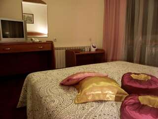 Отель Elegant Hotel Банско Стандартный двухместный номер с 1 кроватью или 2 отдельными кроватями-6